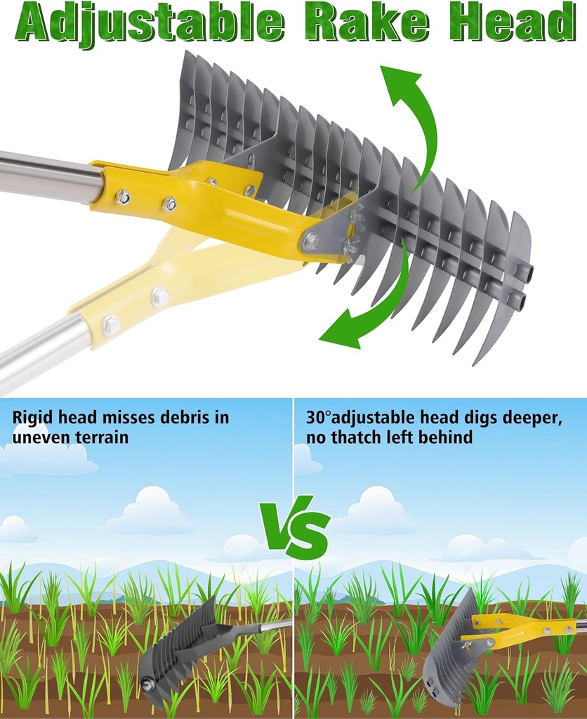 thatch-rakedual-sided-lawn-dethatcher-wi-6.jpg