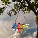 stained-glass-window-hanging---birds-on--3.jpg