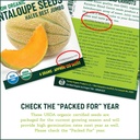 organic-kale-seeds-vates-blue-scotch-cur-5.jpg