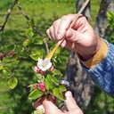yardwe-8pcs-pollination-brush-set-manual-6.jpg