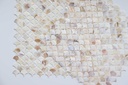 mother-of-pearl-fish-scale-pattern-mosai-4.jpg