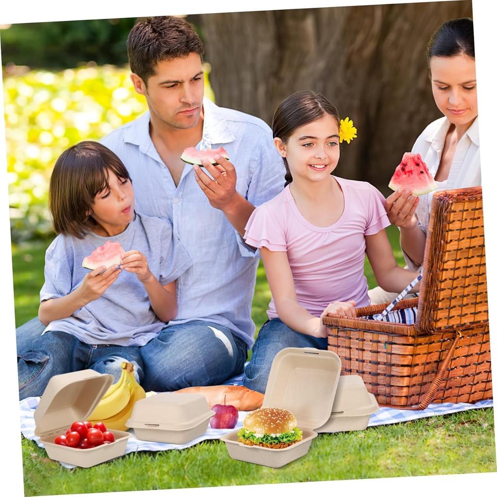 30pcs-eco-friendly-pulp-lunch-boxes-chin-5.jpg