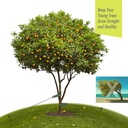 heavy-duty-tree-stake-kits-118-inch-stee-4.jpg