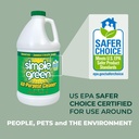 simple-green-all-purpose-cleaner-concent-6.jpg