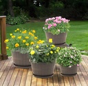 quarut-10-inch-plastic-flower-pots-for-o-5.jpg