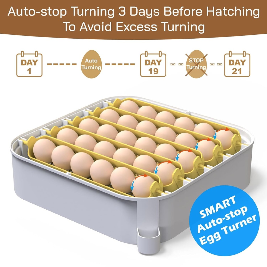 maticoopx-30-egg-incubator-with-humidity-5.jpg