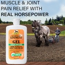 absorbine-veterinary-liniment-topical-an-3.jpg