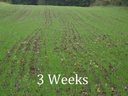 field-tuff-ftf-603pts-3-point-seeder-60--5.jpg