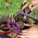loqjss-4-roll-bonsai-wirebonsai-training-6.jpg