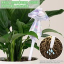 hysagtek-4-pack-plant-watering-globes-se-4.jpg