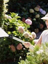 12-pack-34-plastic-garden-hose-shut-off--2.jpg