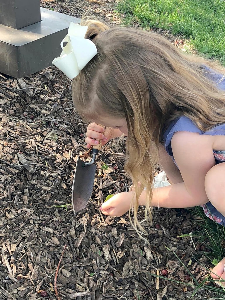 dewit-junior-kids-hand-trowel-3.jpg