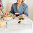 large-rectangle-cake-dome-protective-foo-2.jpg