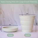 collapsible-silicone-planting-pot-flexpo-3.jpg