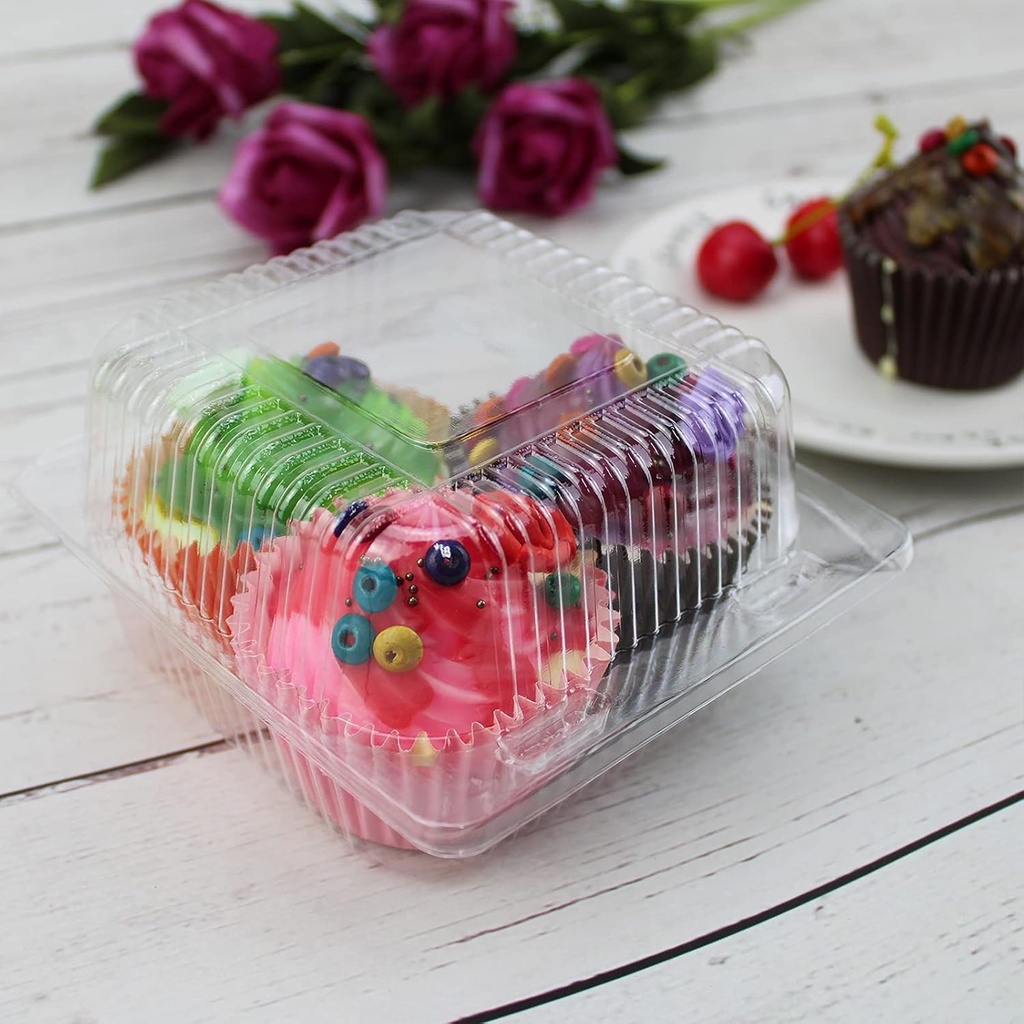clear-square-plastic-hinged-food-contain-5.jpg