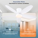 42-ceiling-fans-with-lights-low-profile--6.jpg