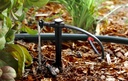 rain-bird-sw20-30ps-drip-irrigation-spot-5.jpg