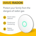 airthings-2950-wave-radon---smart-radon--2.jpg