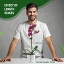 10pcs-plant-support-stakes-for-indoor-pl-6.jpg