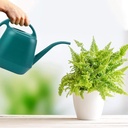 fasmov-plastic-watering-can-1-gallon-gre-6.jpg