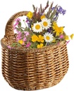 cabilock-kitchen-hanging-basket-for-garl-4.jpg