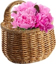 cabilock-kitchen-hanging-basket-for-garl-5.jpg