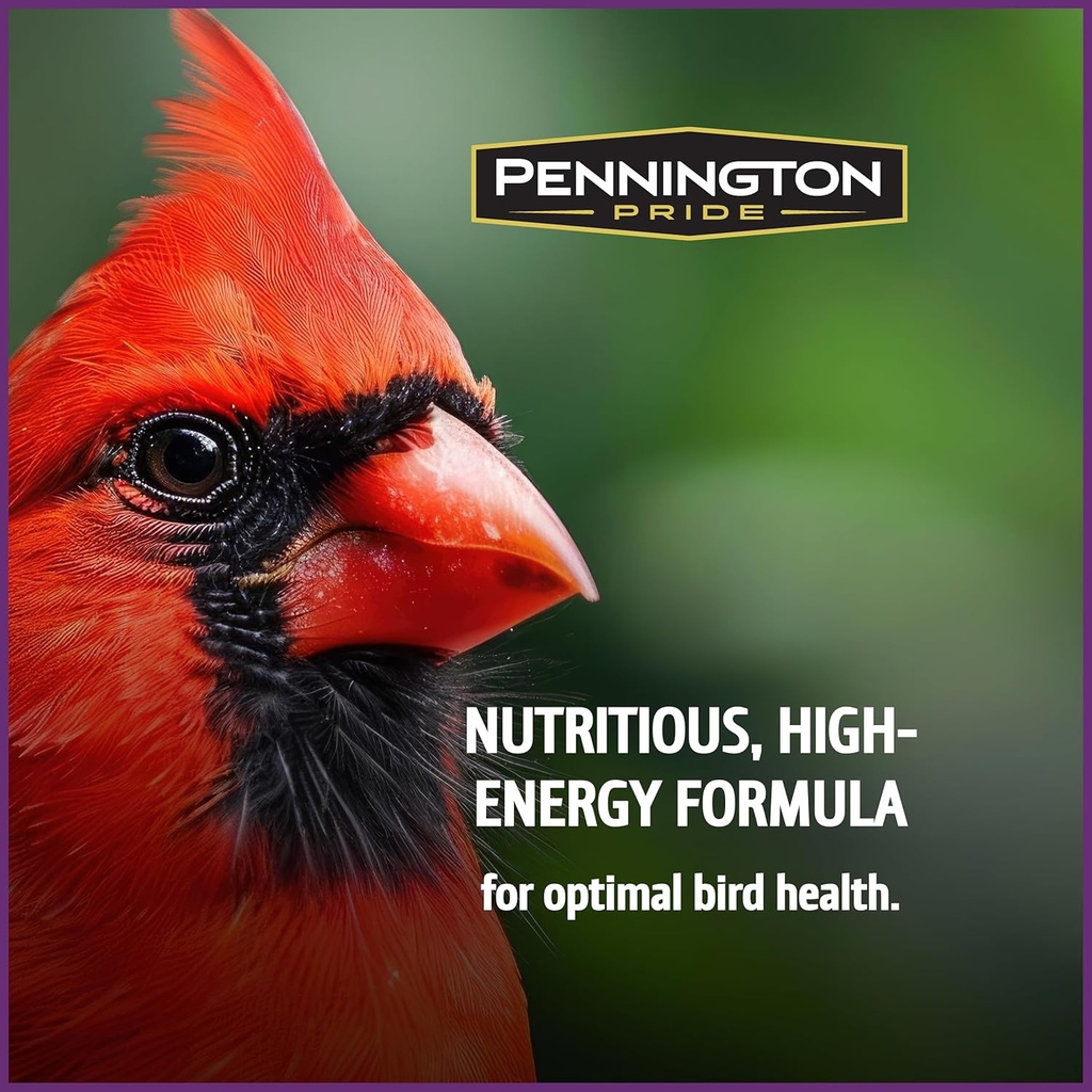 pennington-pride-songbird-nut-fruit-blen-4.jpg