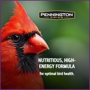 pennington-pride-songbird-nut-fruit-blen-4.jpg
