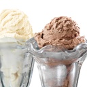 nostalgia-isk3-premium-ice-cream-starter-6.jpg