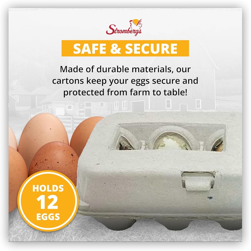 strombergs-large-blank-egg-cartons-bulk--6.jpg