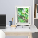 6-pack-upgraded-plate-display-stands-8-i-6.jpg