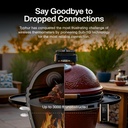 typhur-sync-gold-wireless-wifi-meat-ther-5.jpg