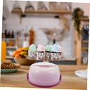 portable-reusable-cake-carrier-handheld--4.jpg
