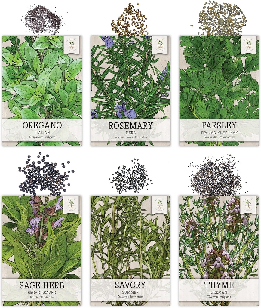 seed-needs-herb-seeds-variety-pack-culin-3.jpg