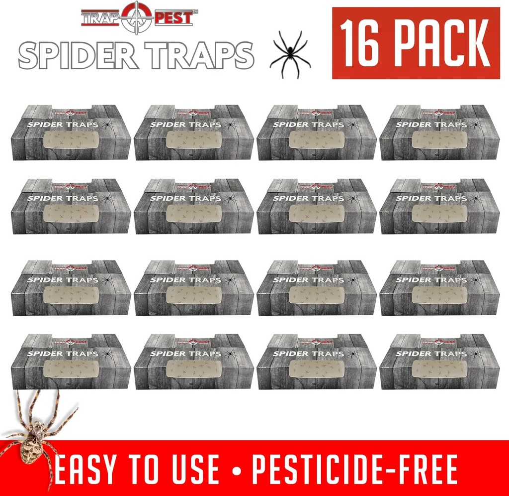 spider-traps-for-inside-your-home-16-tra-4.jpg