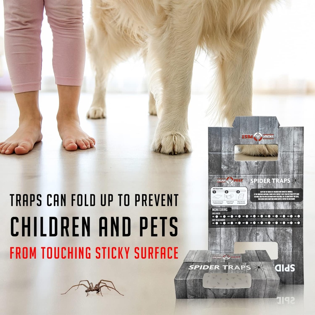 spider-traps-for-inside-your-home-16-tra-6.jpg