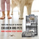 spider-traps-for-inside-your-home-16-tra-6.jpg
