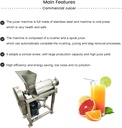 220v-3ph-commerical-fruit-and-vegetable--5.jpg