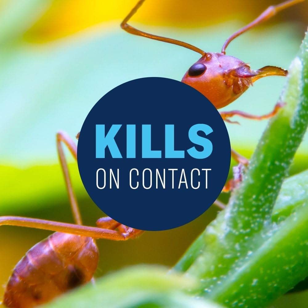 bioadvanced-fire-ant-killer-dust-1-lb-13-4.jpg
