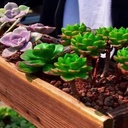 binaryabc-wooden-rectangle-planter-boxwi-5.jpg