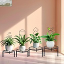 4-packs-trellis-for-climbing-plants-indo-3.jpg