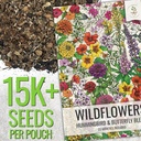 seed-needs-flower-seeds-hummingbird-and--2.jpg