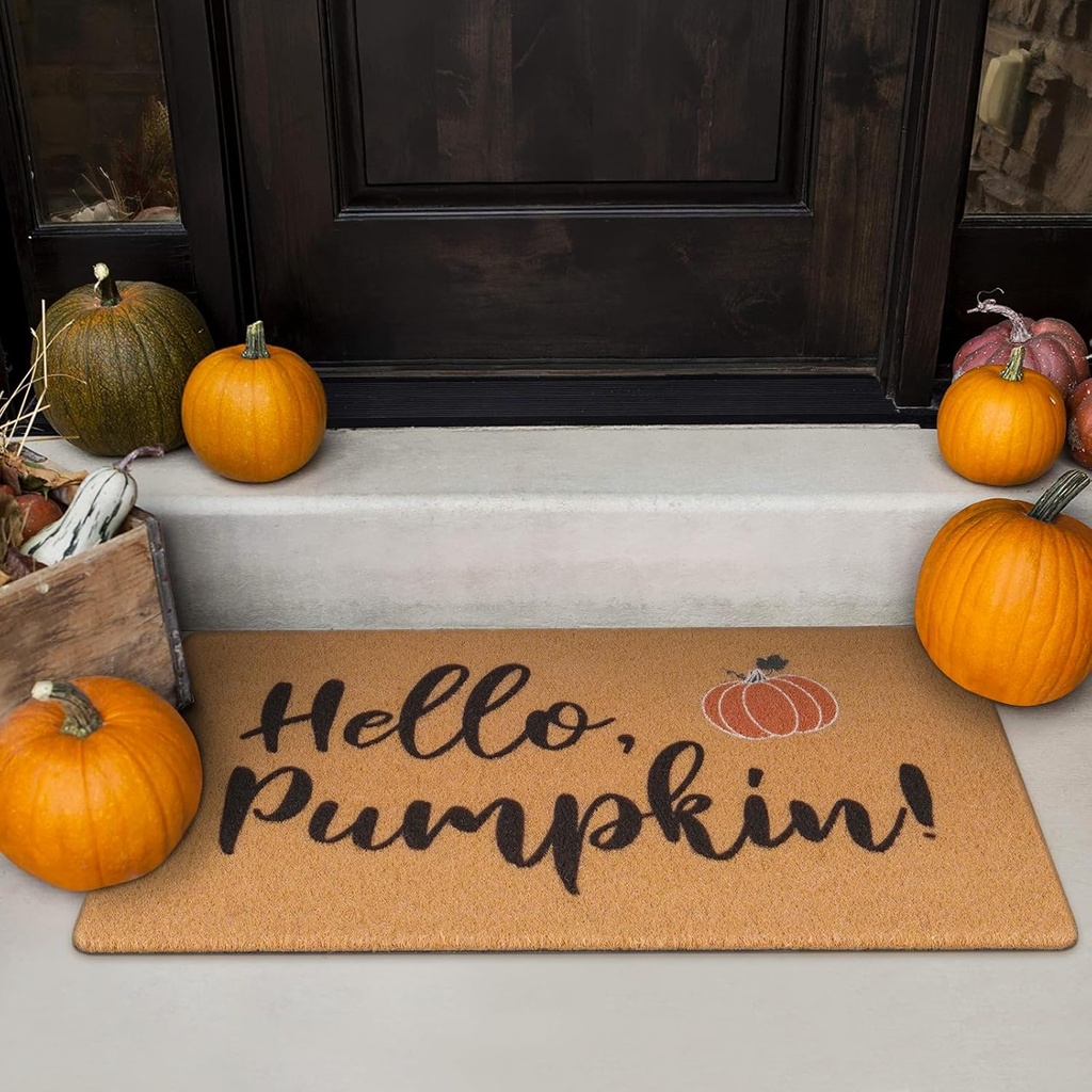 uini-fall-door-mat-hello-pumpkin-welcome-6.jpg