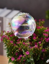 tomorotec-iridescent-glass-self-watering-3.jpg