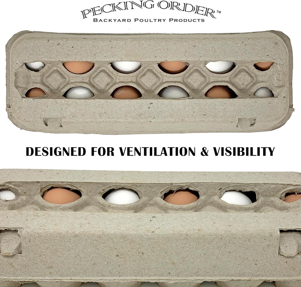 pecking-order-paper-pulp-egg-cartons---1-4.jpg