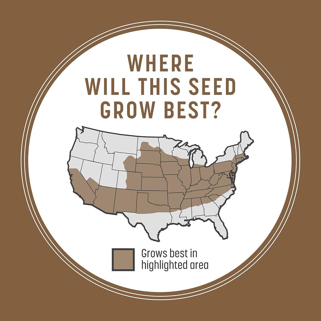 pennington-bare-spot-repair-grass-seed-m-4.jpg
