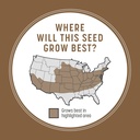 pennington-bare-spot-repair-grass-seed-m-4.jpg