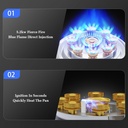 gas-stove-2-burnerkitchen-counter-top-st-3.jpg