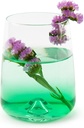 excelsa-marseille-set-6-glasses-4.jpg