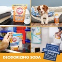 arm-hammer-fridge-fresh-refrigerator-air-4.jpg